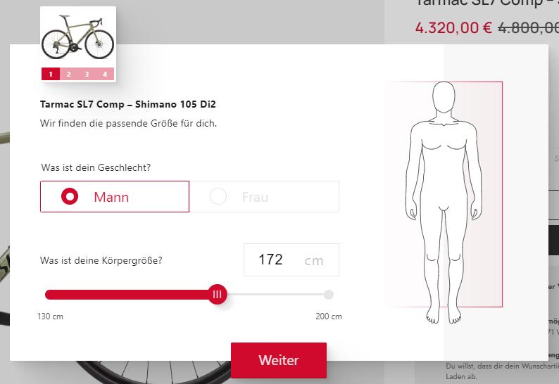 Welche Rahmenhöhe bei 172 Damen?